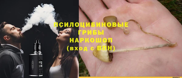 spice Дмитровск
