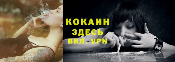 кристаллы Дмитриев