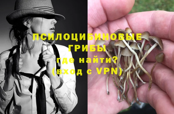 кристаллы Дмитриев