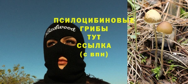 кристаллы Дмитриев