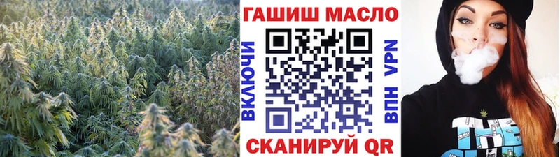 Купить закладки  Козловка  ТГК жижа 
