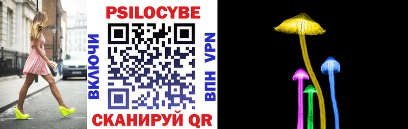 Купить где  Козловка  Псилоцибиновые грибы мицелий 